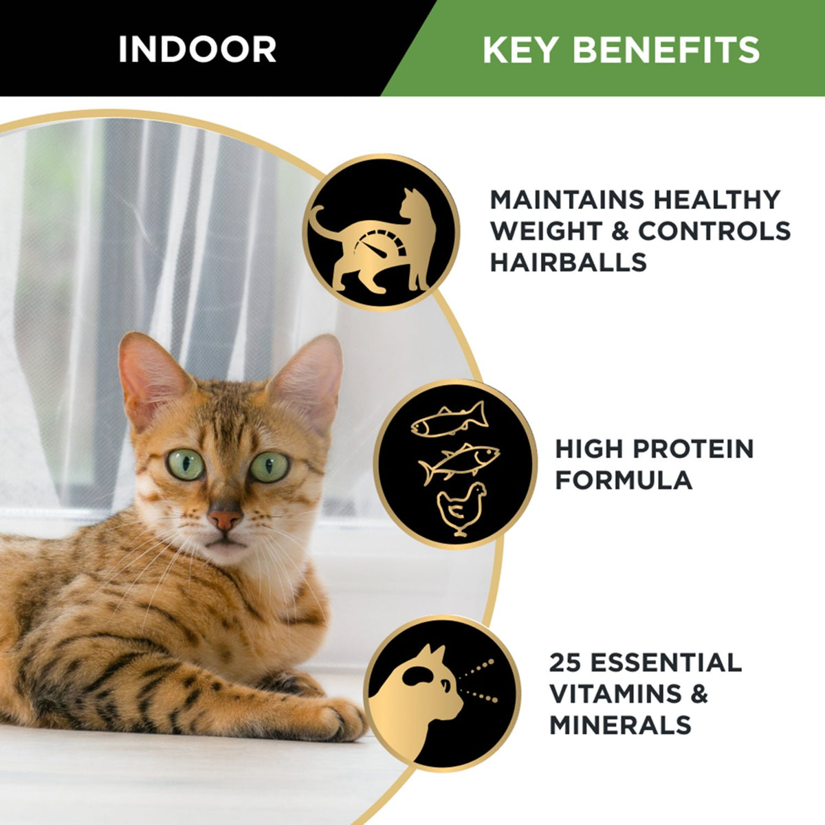 Pro Plan Adult Indoor Balance Variety Wet Cat Food
