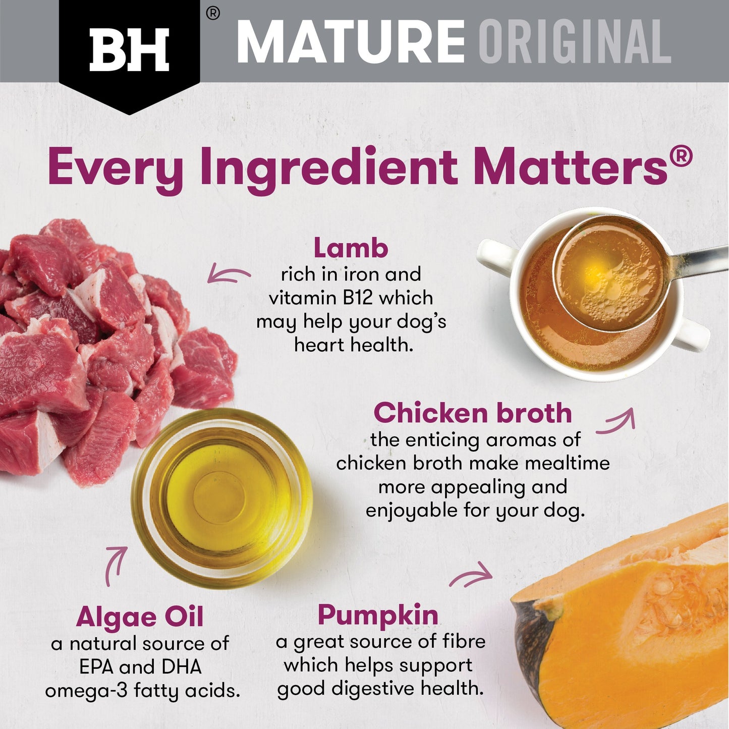 Black Hawk Original Mature Lamb & Vegetables Wet Dog Food