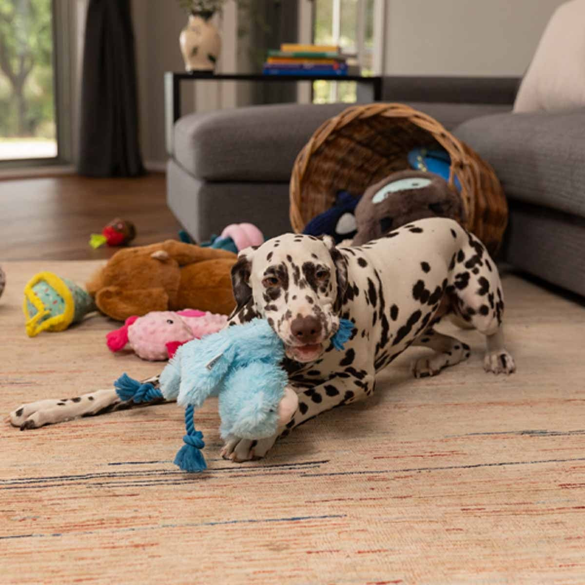 Lexi & Me Polar Bear Plush & Rope Knot Dog Toy