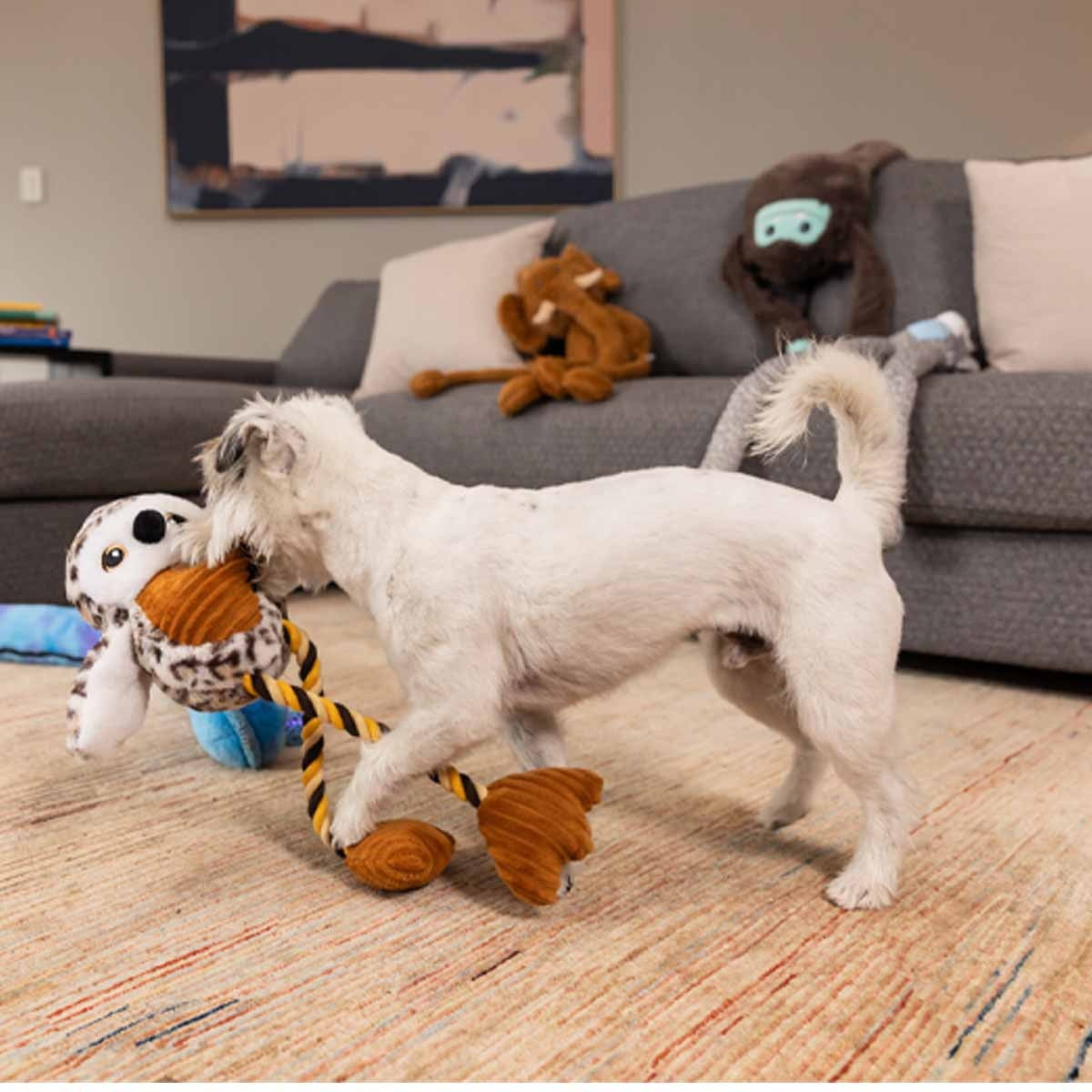 Lexi & Me Long Leg Owl Plush & Rope Dog Toy
