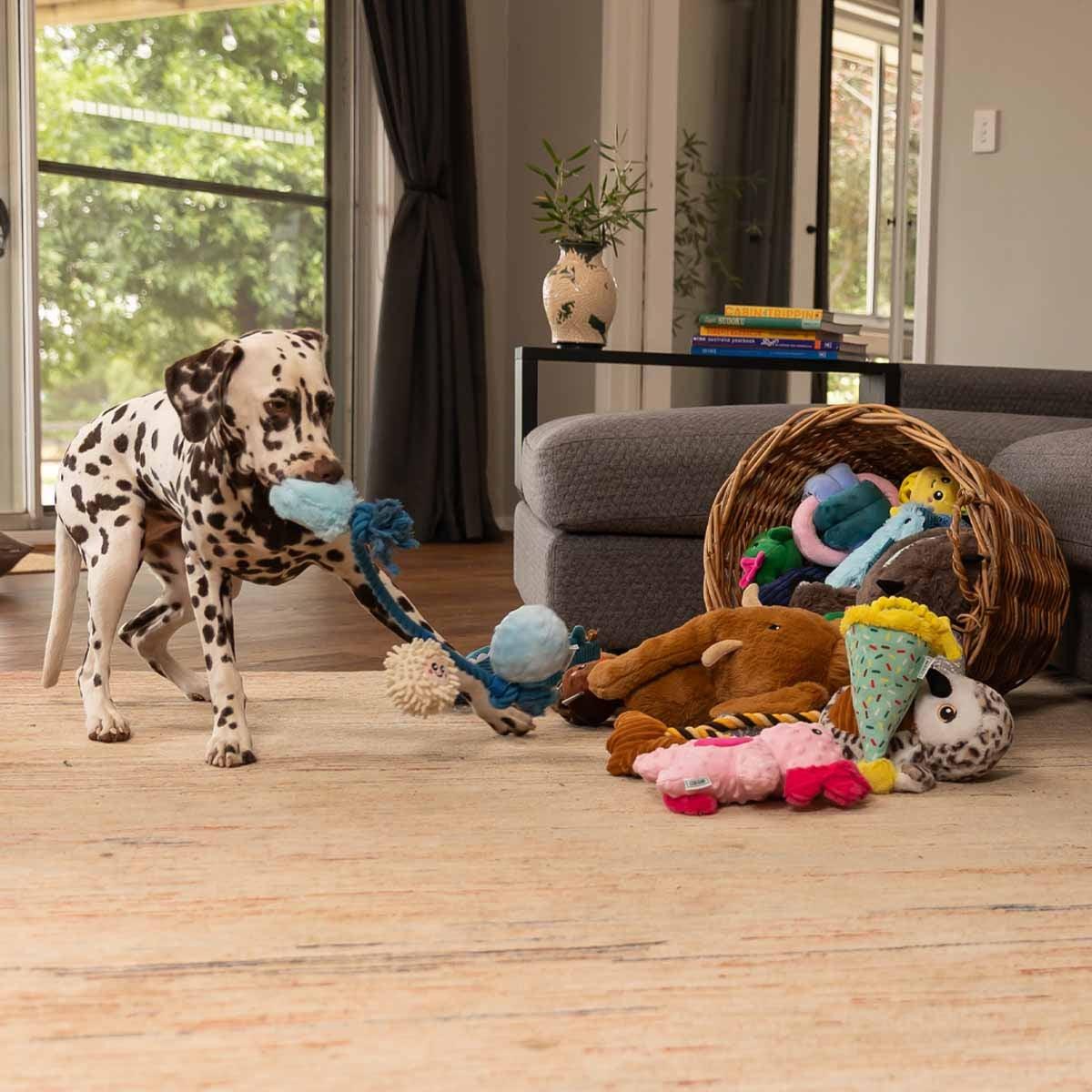 Lexi & Me Snowballs Plush & Rope Dog Toy