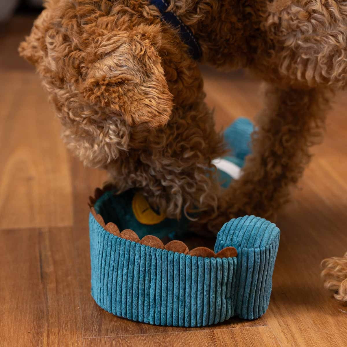 Lexi & Me Crocodile Snuffle Dog Toy
