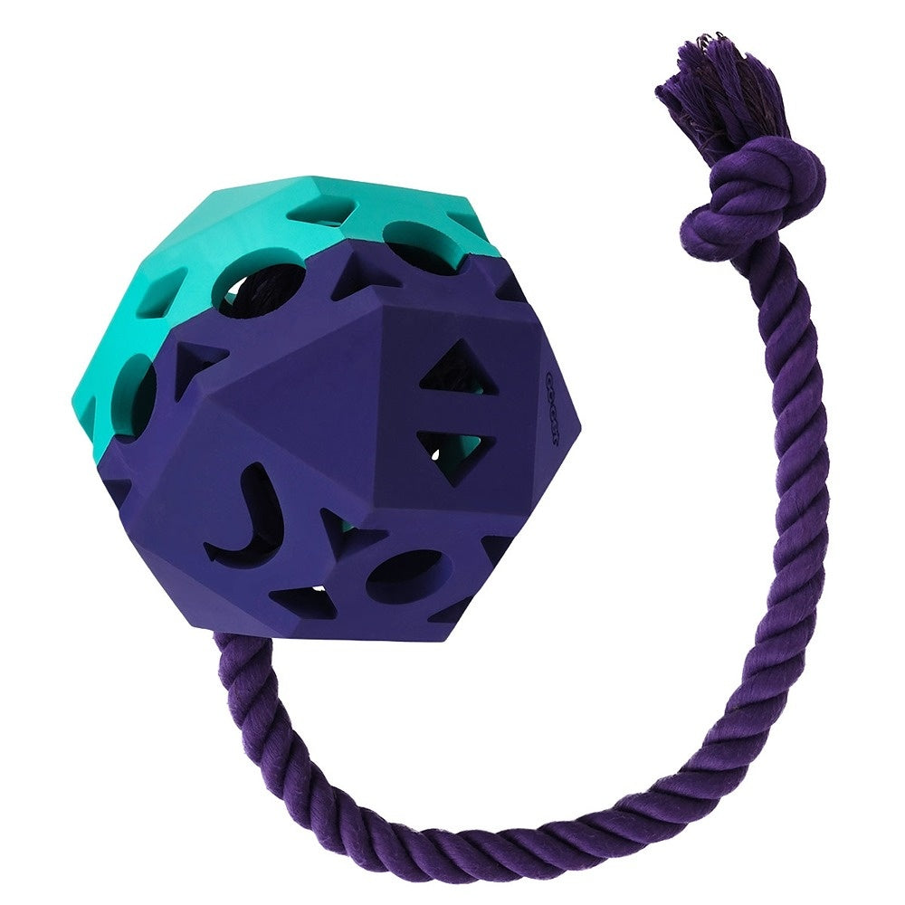 Go Get Geo Ball with Rope Dog Toy