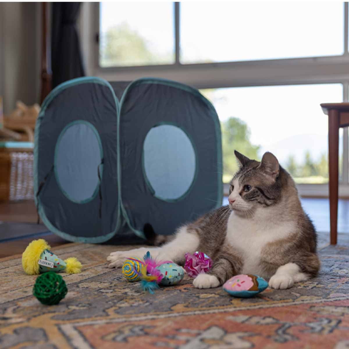 Lexi & Me Party Plush Assorted Cat Toys