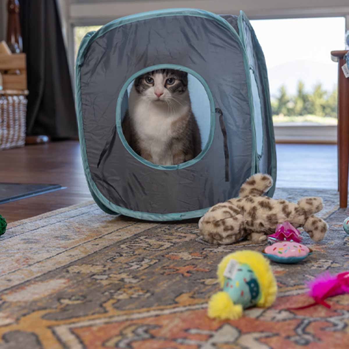 Lexi & Me Pop Up Cat Cube