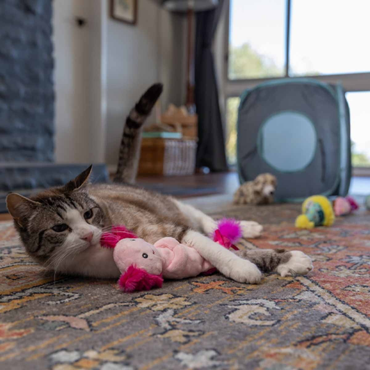 Lexi & Me Axolotl Plush Kicker Cat Toy