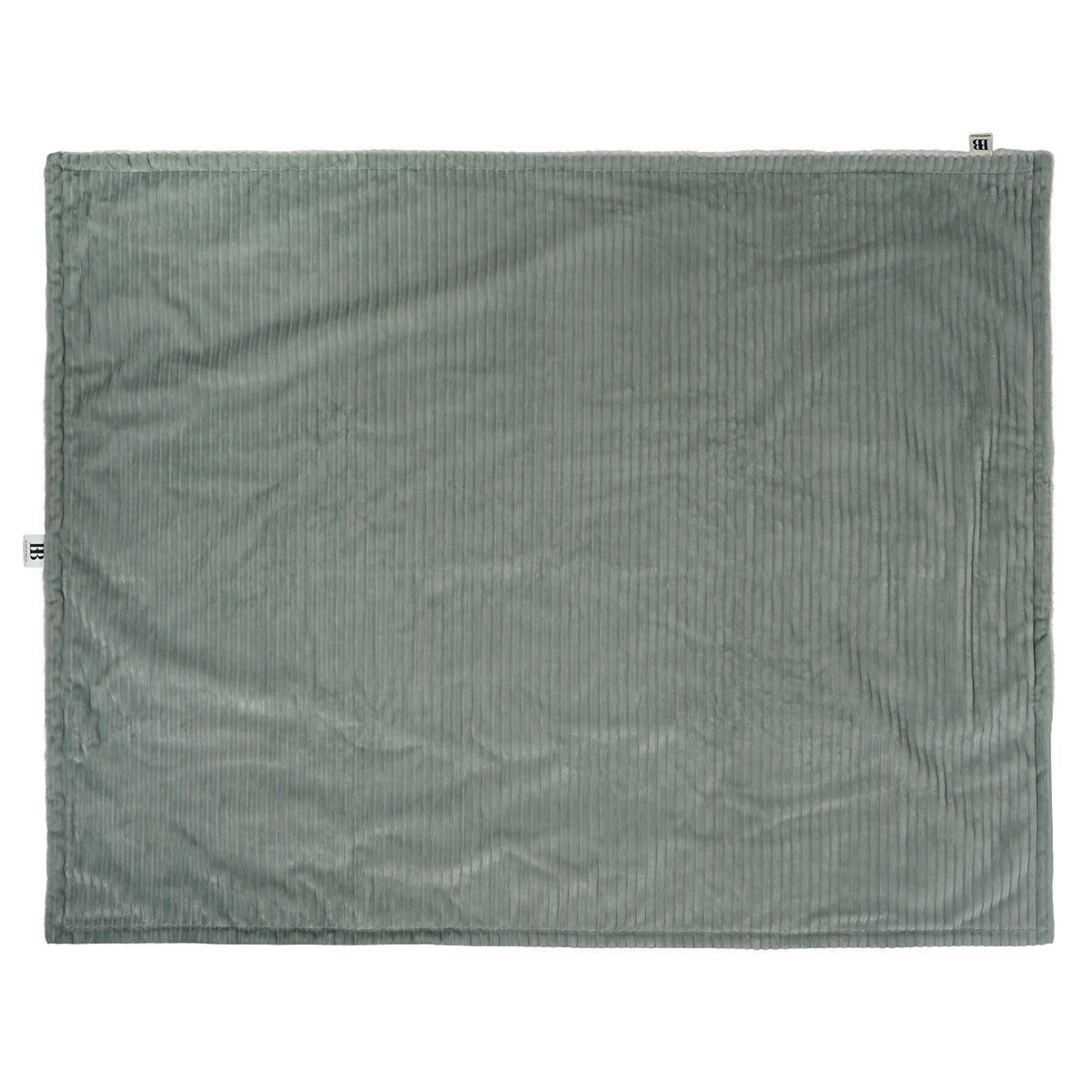 Buddy & Belle Reversible Plush Dog Blanket