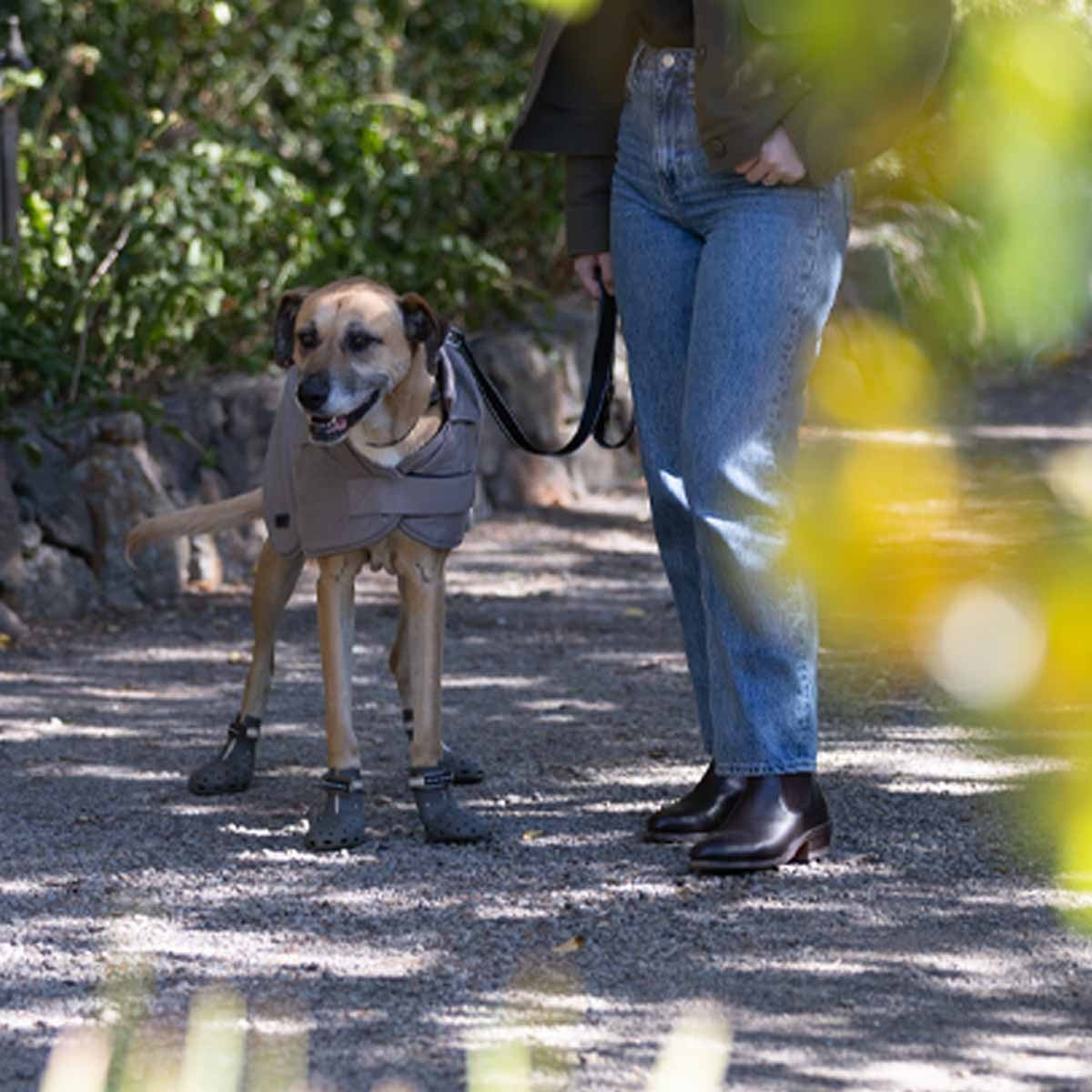 Buddy & Belle Dog Boots Grey