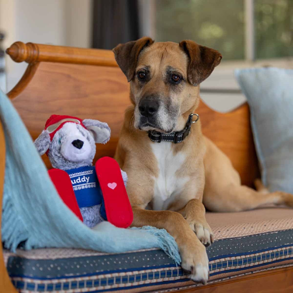 Petstock Foundation Winter Buddy Plush Dog Toy