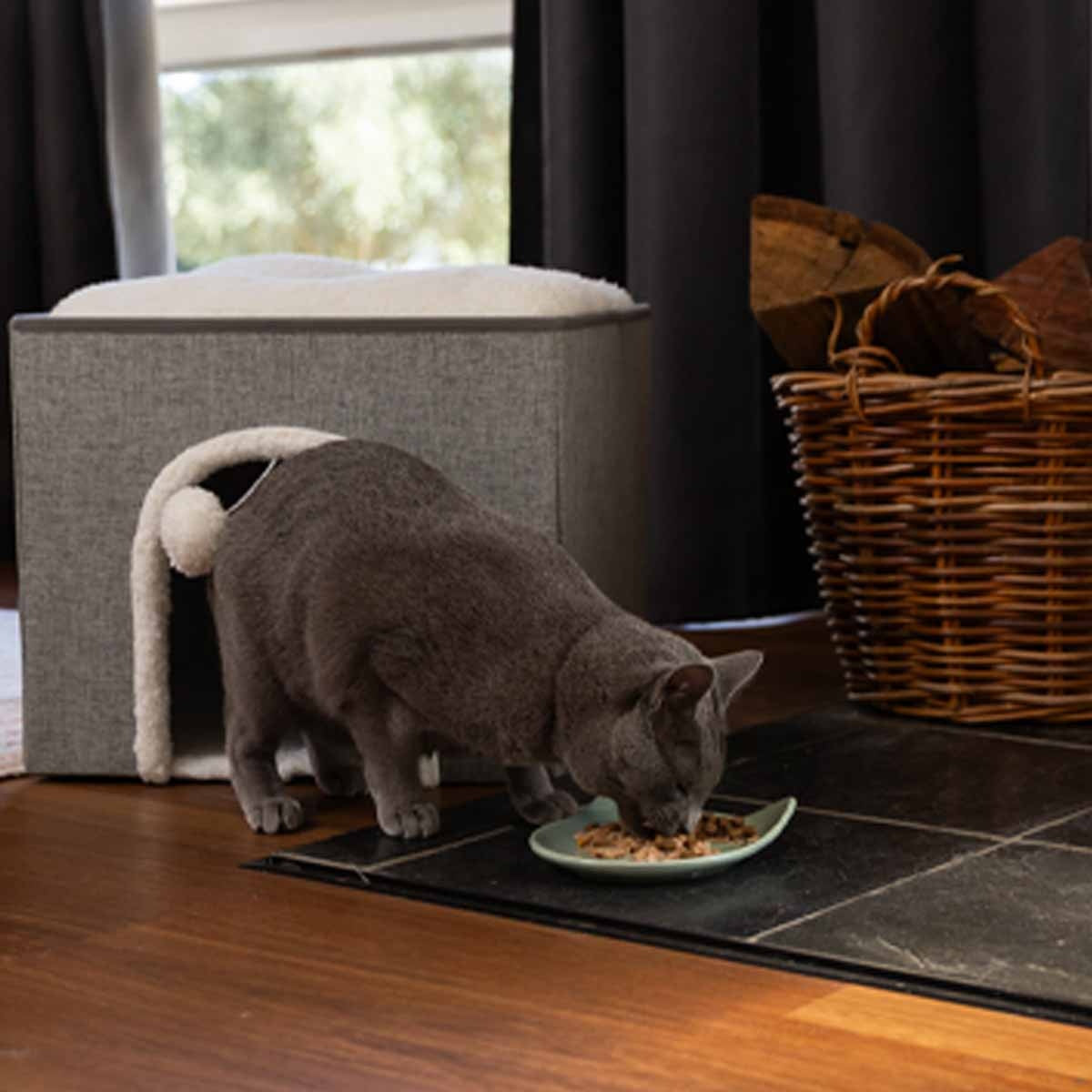 Buddy & Belle Dolomite Cat Plate