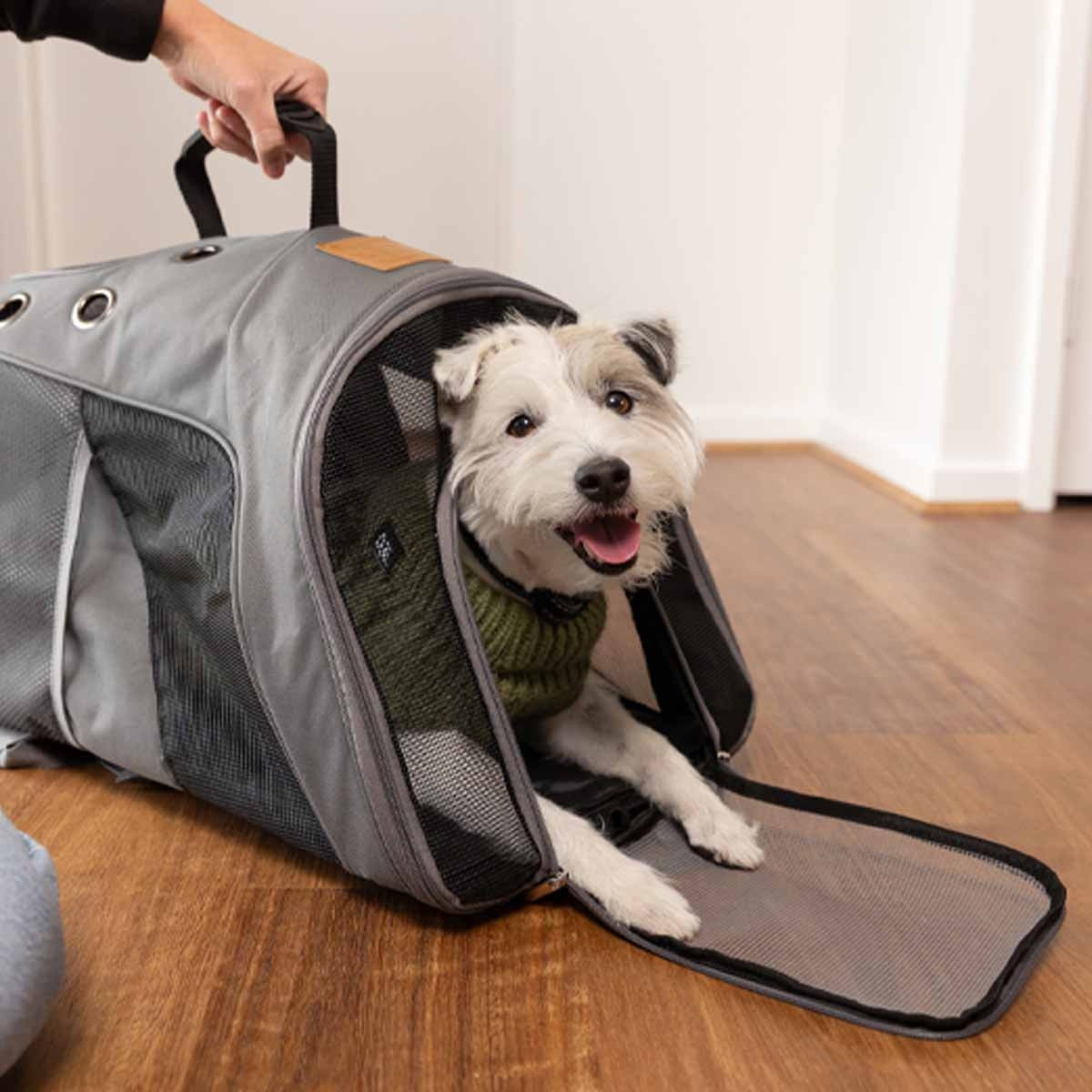 Buddy & Belle Pet Backpack Grey