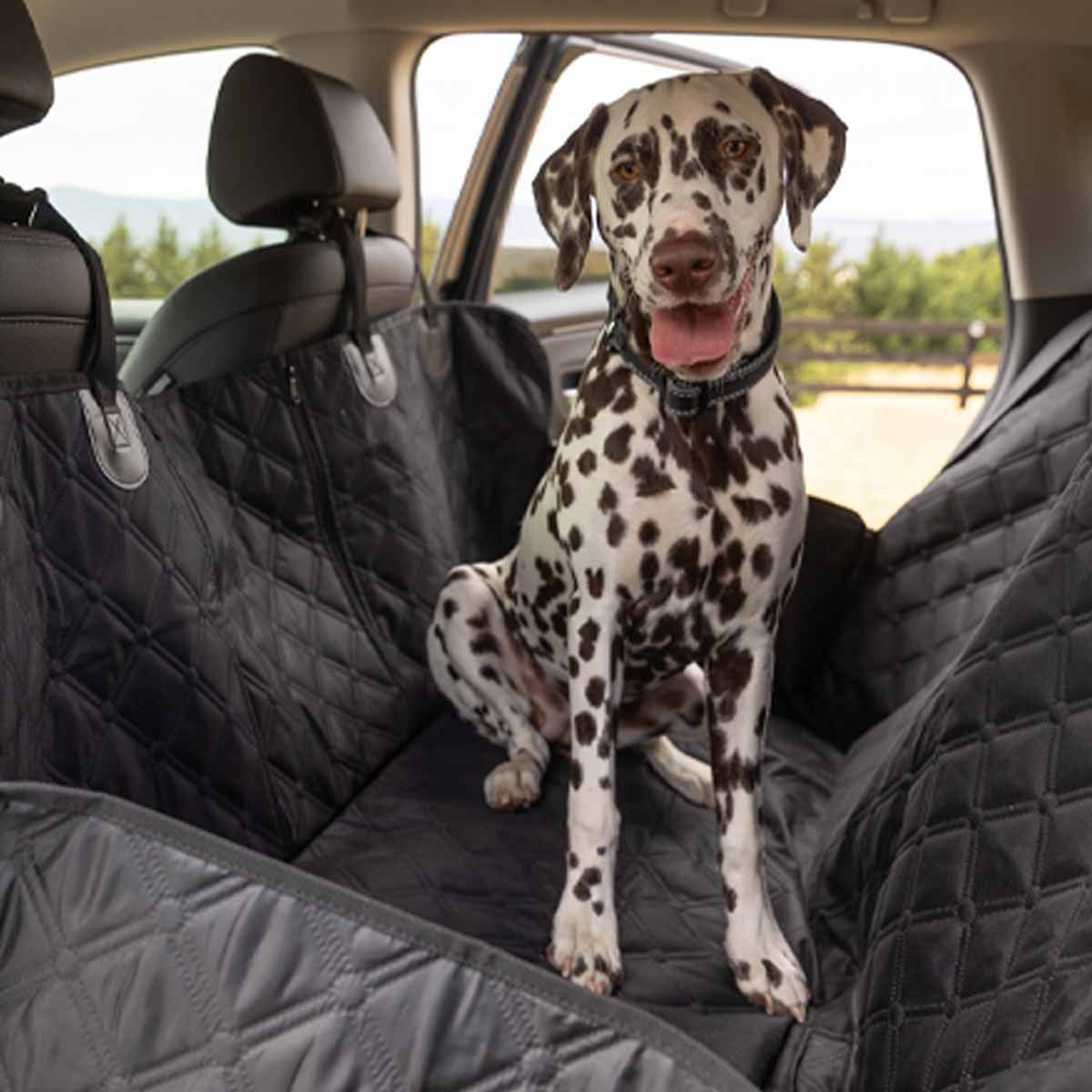 Lexi & Me Car Seat Hammock