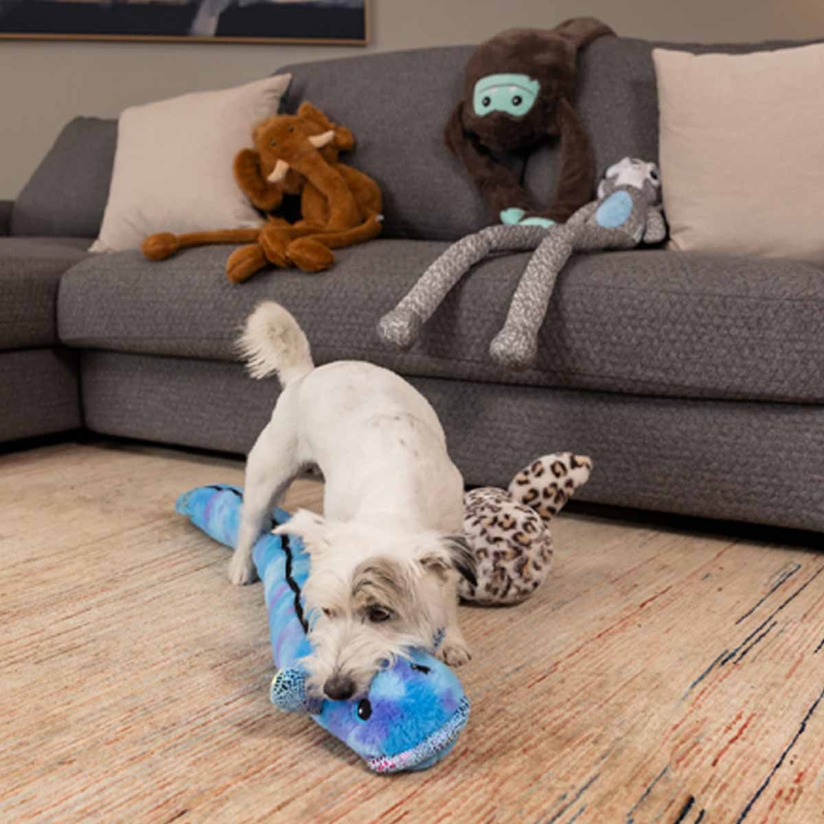 Lexi & Me Eel Plush Long Dog Toy