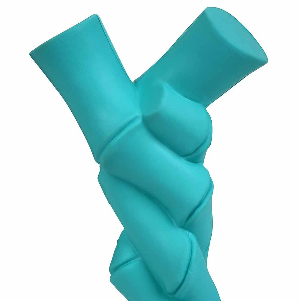 Lexi & Me Tasty Twist Dental Chew Dog Toy