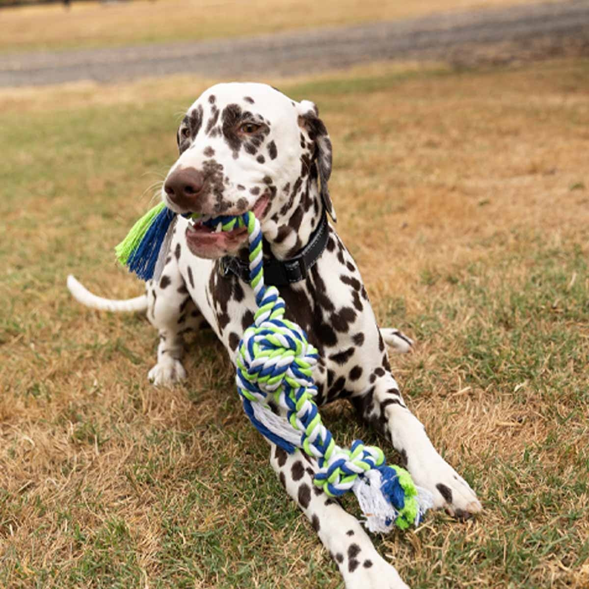 Lexi &Me Triple Knot Rope Tug Dog Toy