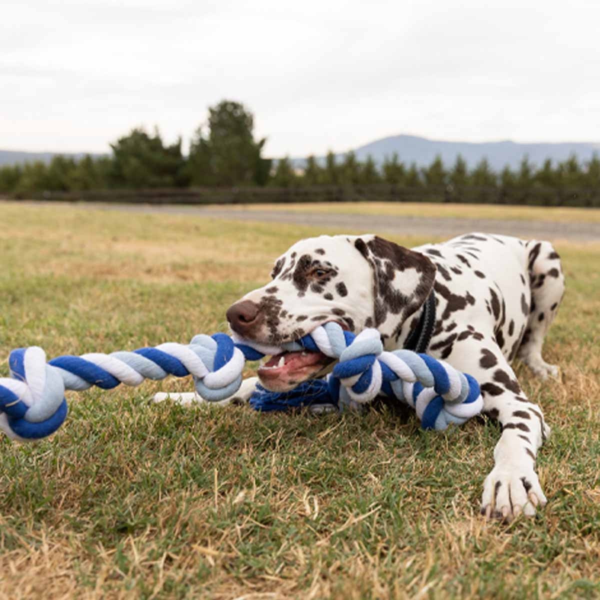 Lexi & Me Rope Knot Dog Toy