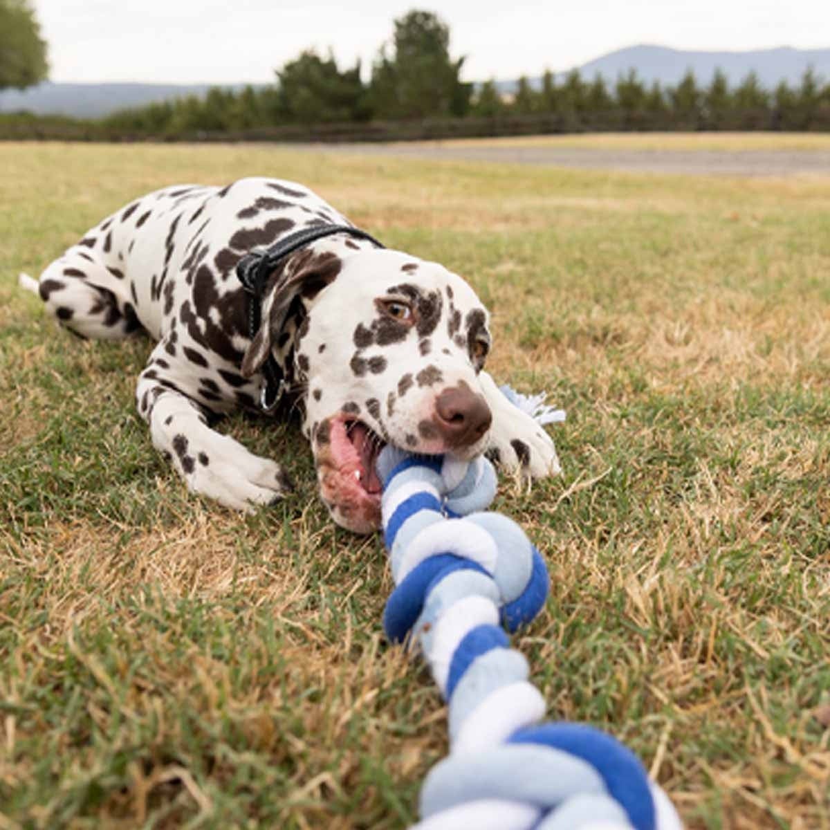 Lexi & Me Rope Knot Dog Toy