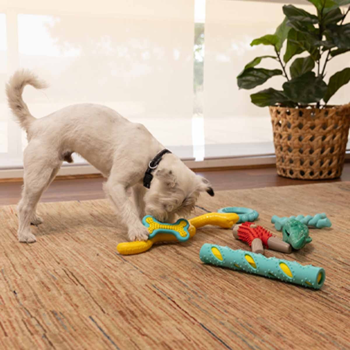 Lexi & Me Puppy Chew Teething Bone Dog Toy