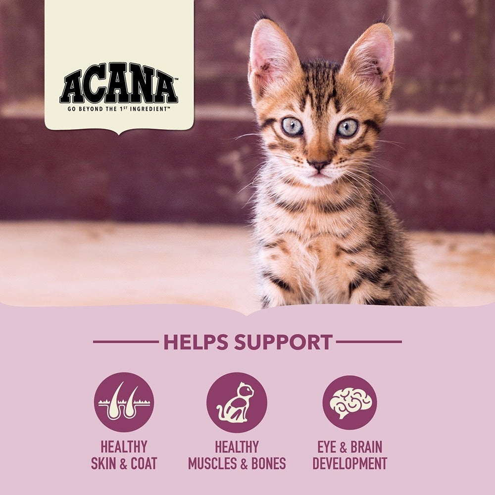 Acana Kitten First Feast Dry Cat Food