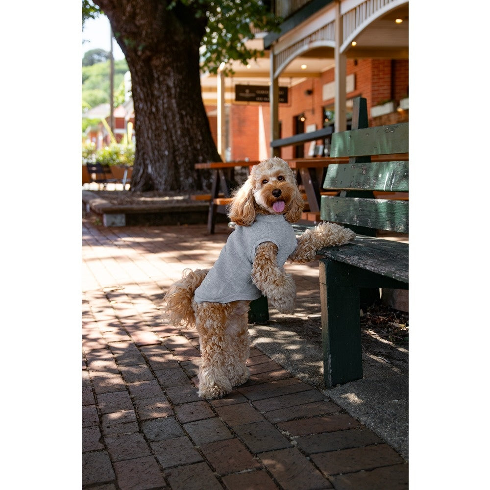 DGG Jersey Huggie Dog Jumper Marle Grey