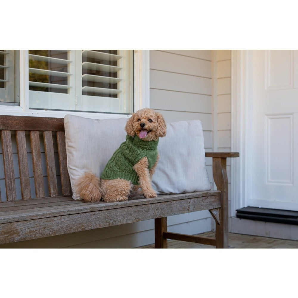DGG Chunky Knit Dog Jumper Winter Sage