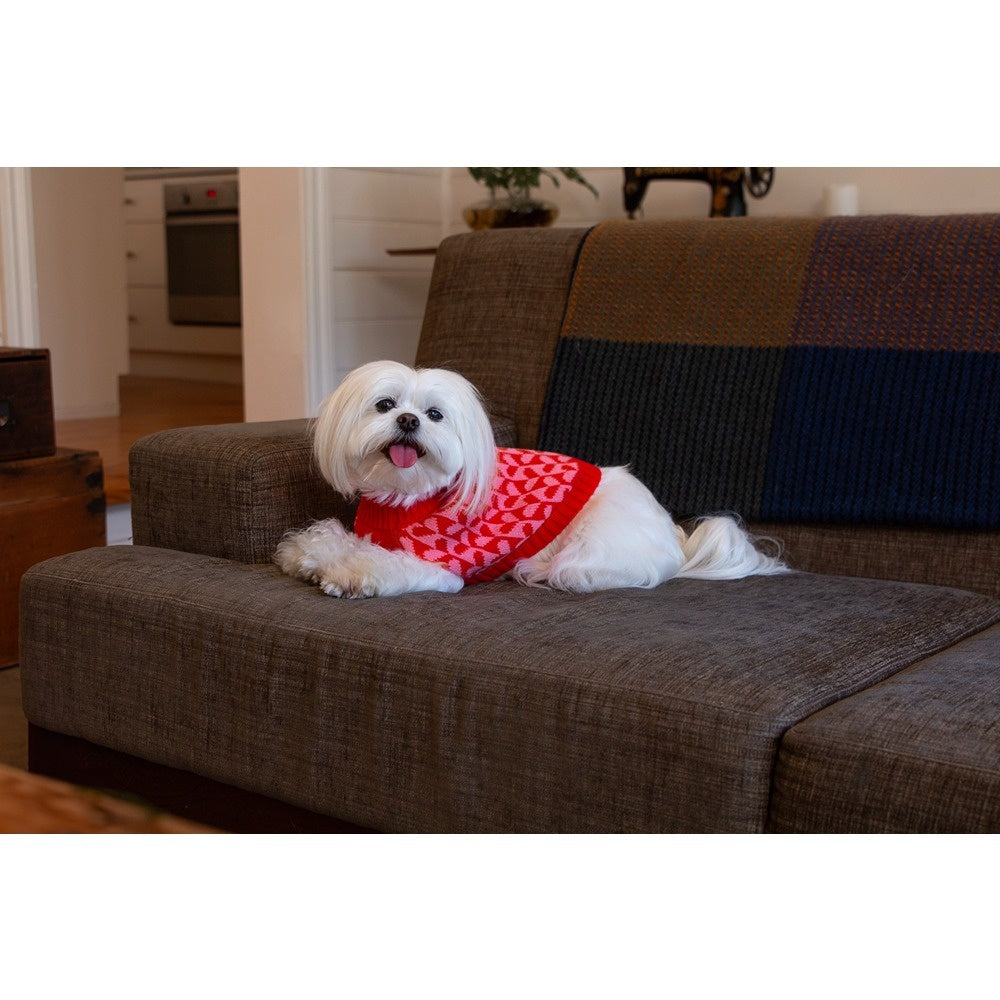 DGG Fashion Knit Dog Jumper Sweetheart