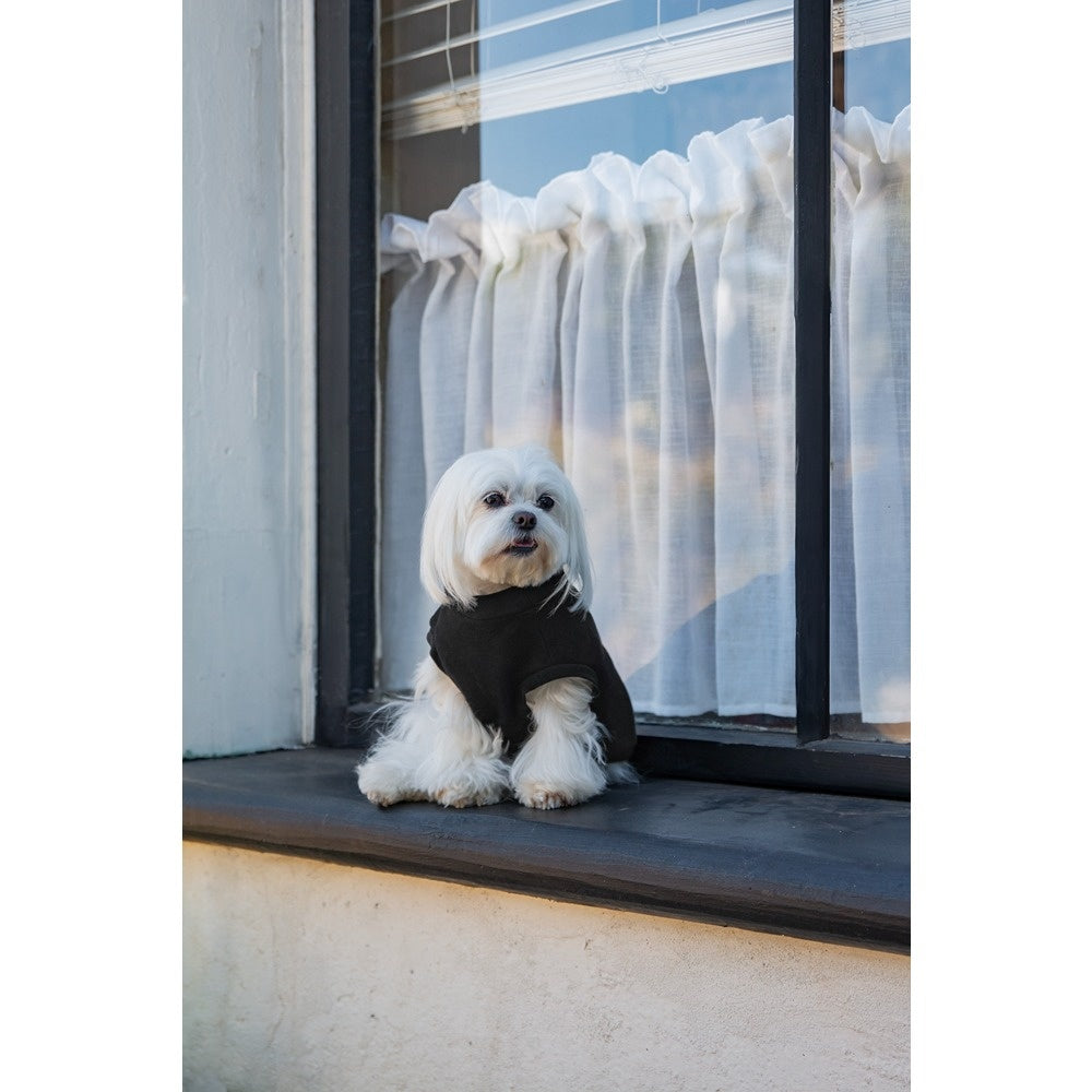 DGG Jersey Huggie Dog Jumper Black