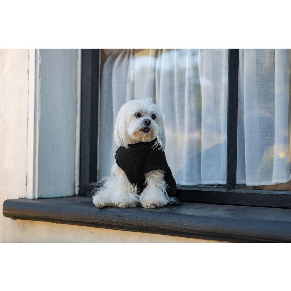 DGG Jersey Huggie Dog Jumper Black