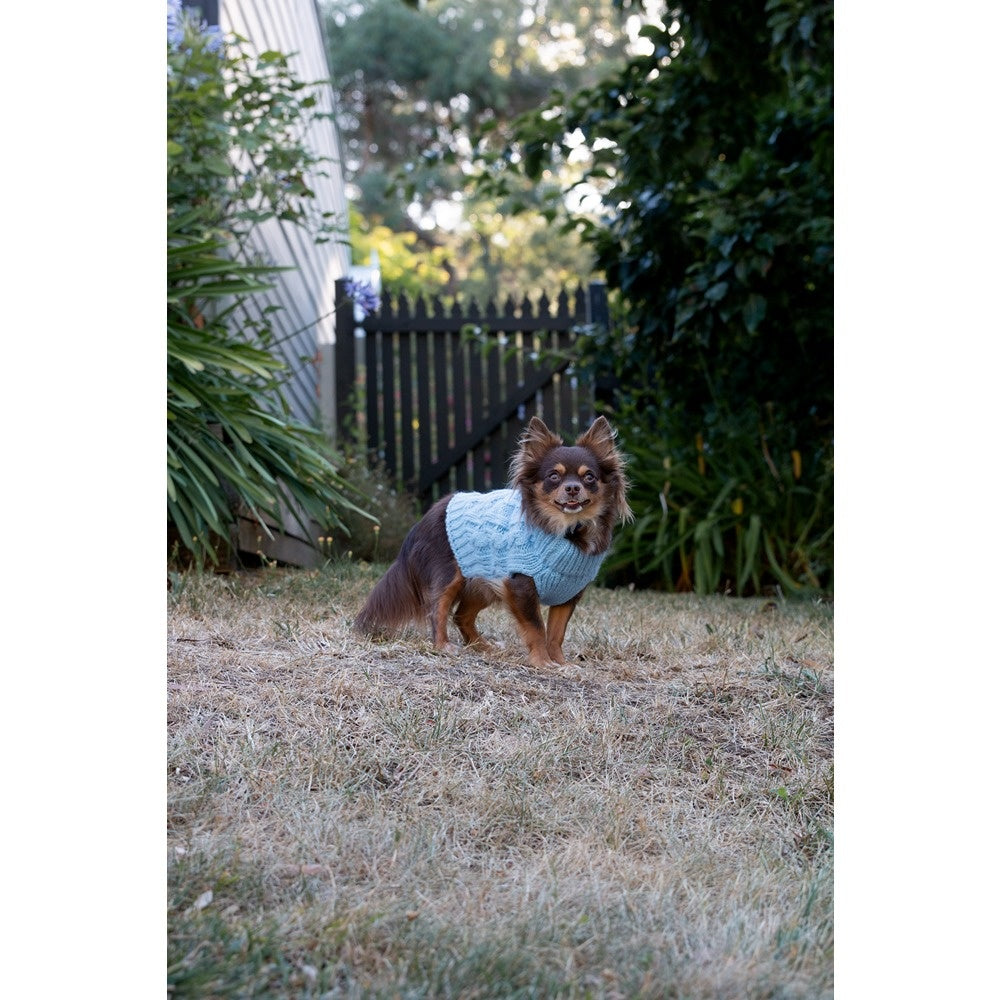 DGG Chunky Knit Dog Jumper Blue