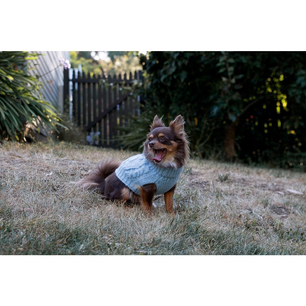 DGG Chunky Knit Dog Jumper Blue