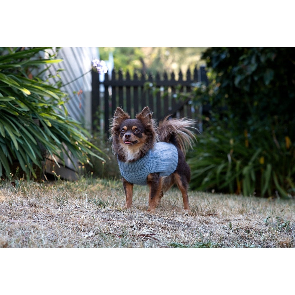 DGG Chunky Knit Dog Jumper Blue