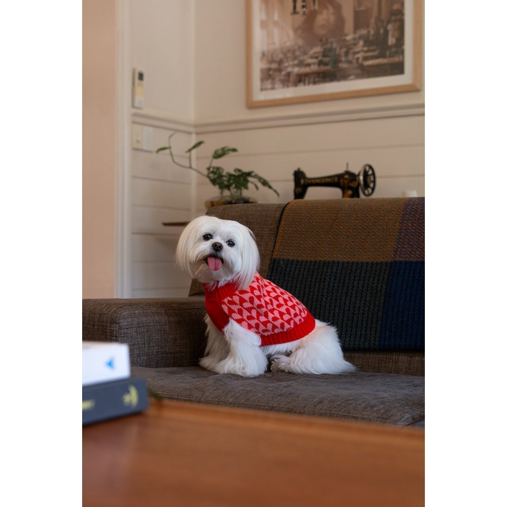 DGG Fashion Knit Dog Jumper Sweetheart