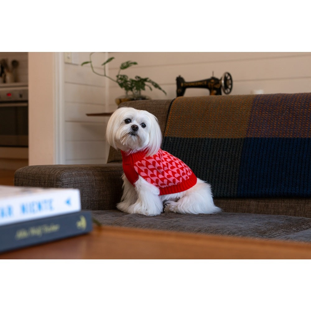 DGG Fashion Knit Dog Jumper Sweetheart