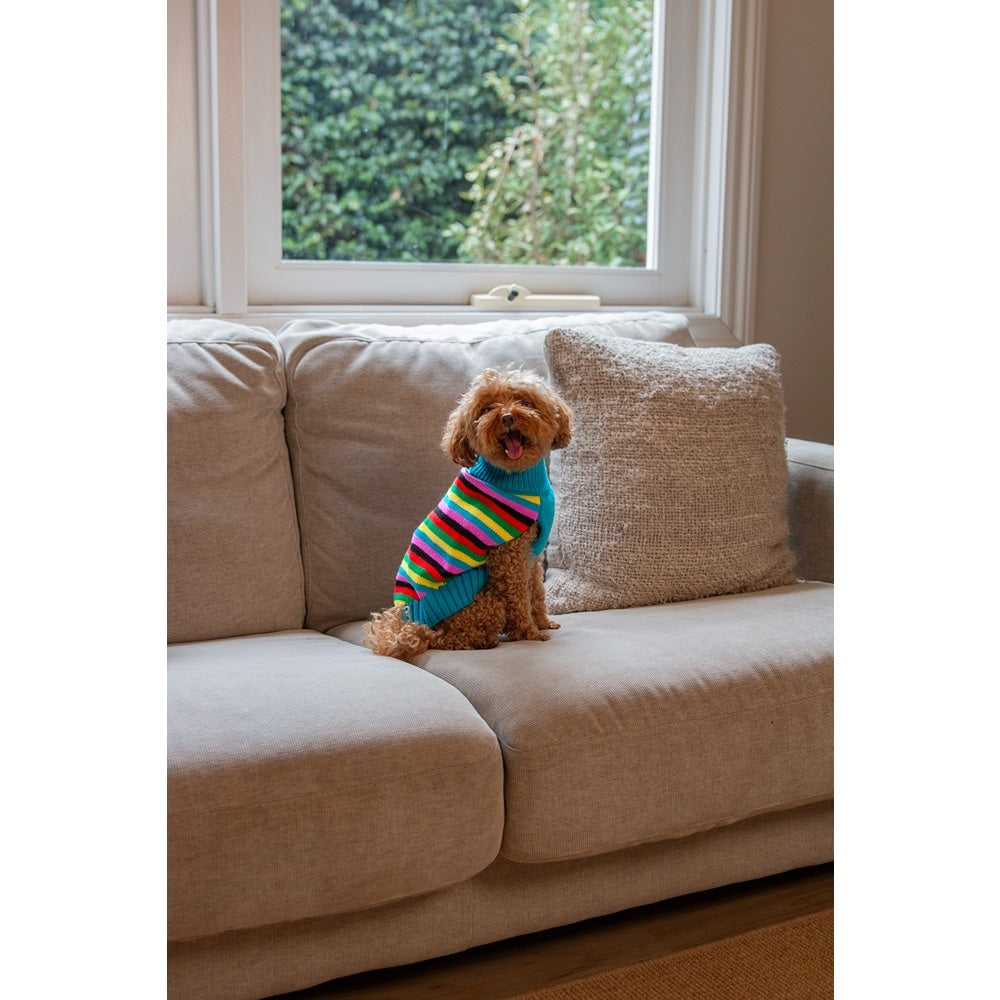 DGG Fashion Knit Dog Jumper Rainbow Stripe
