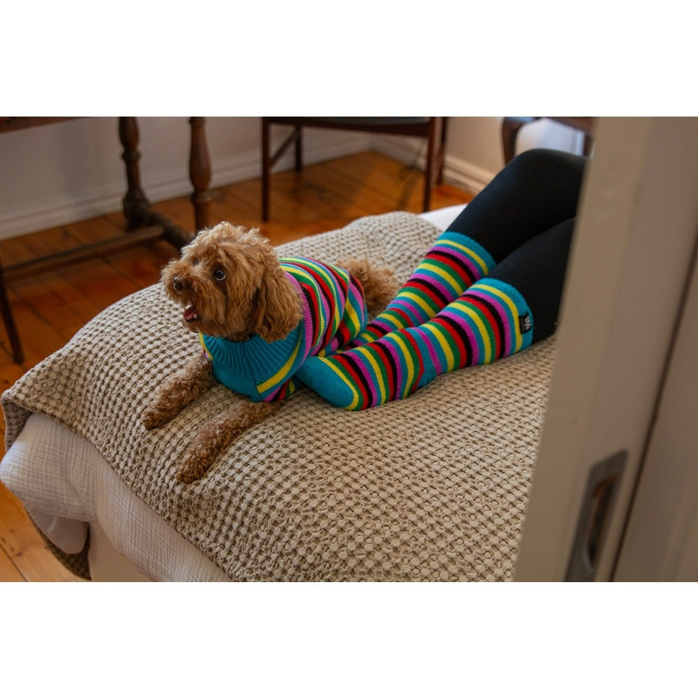 DGG Fashion Knit Dog Jumper Rainbow Stripe