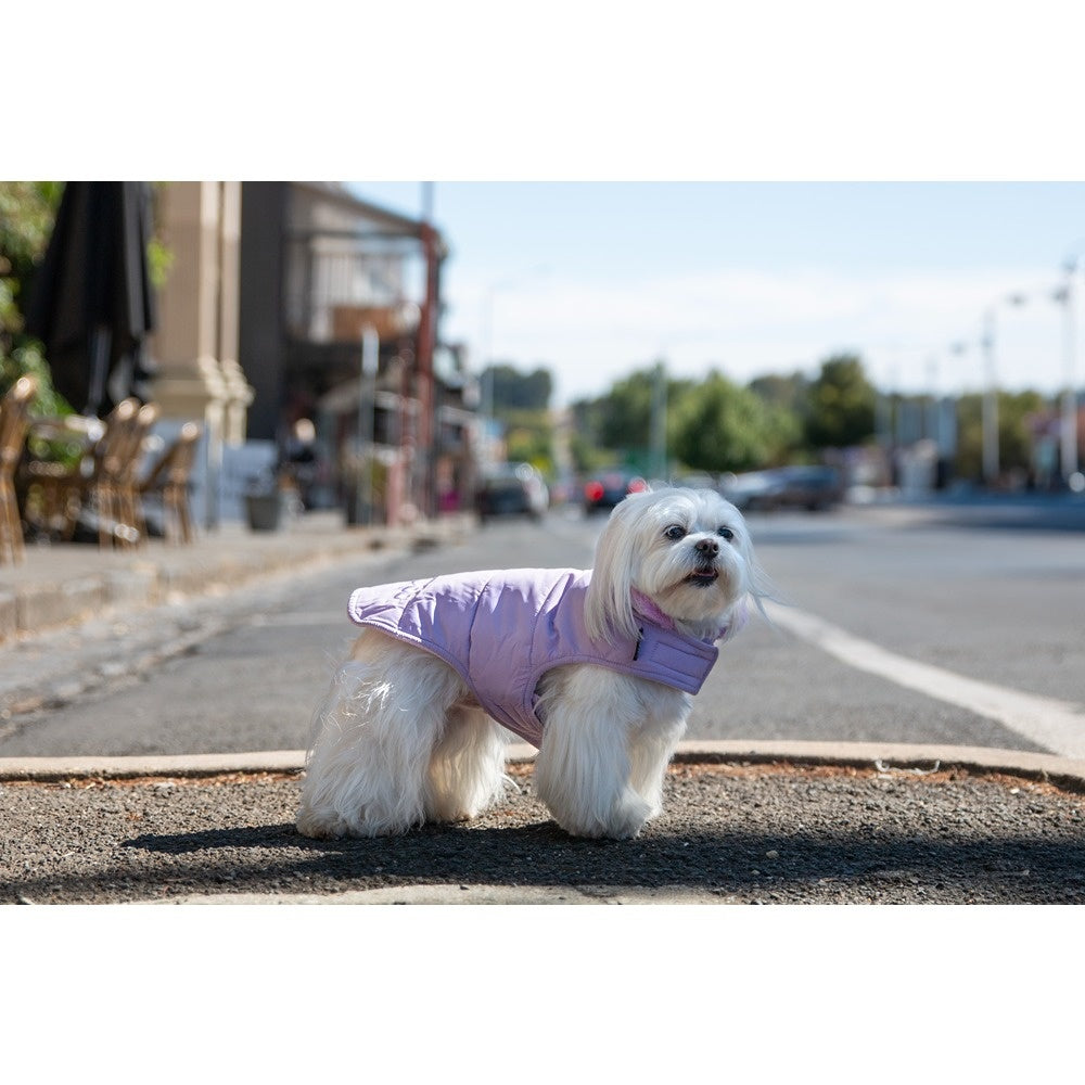 DGG Puffer Dog Jumper Lilac