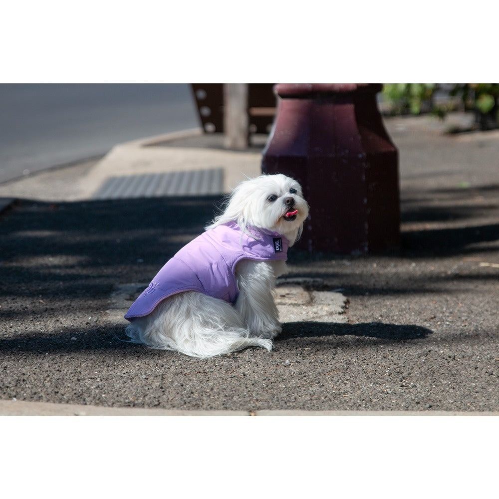 DGG Puffer Dog Jumper Lilac