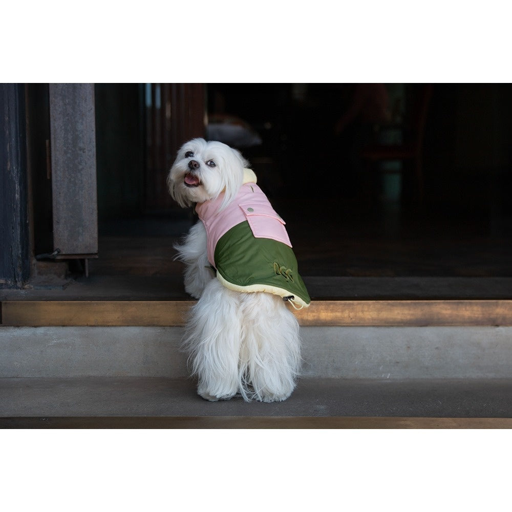 DGG Fashionista Dog Jacket Comeback