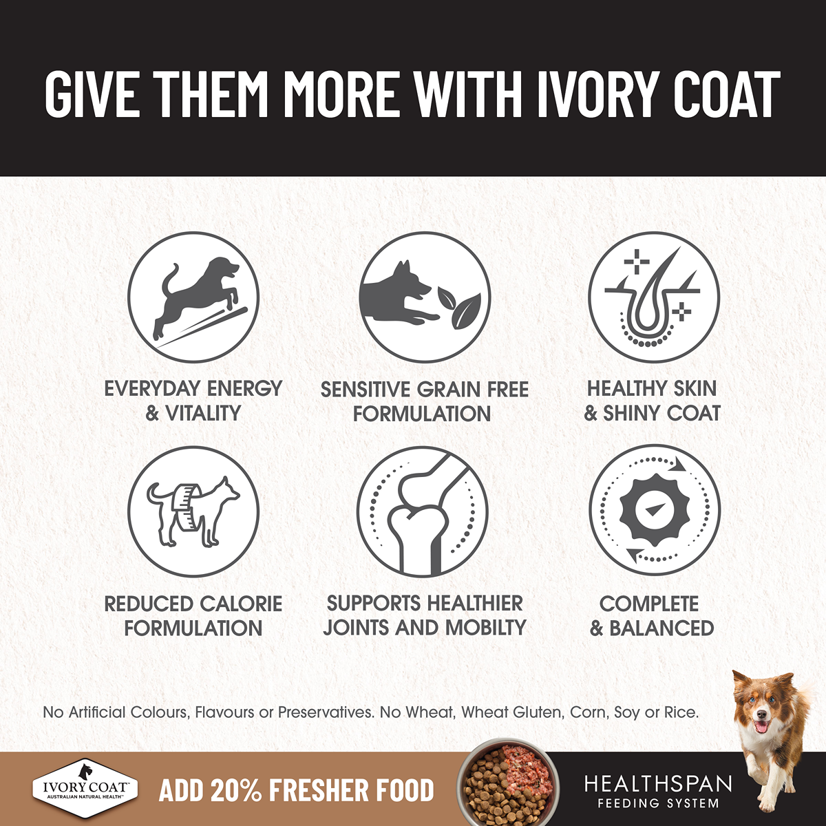 Ivory Coat Grain Free Healthy Weight Chicken Adult Dog Dry Food