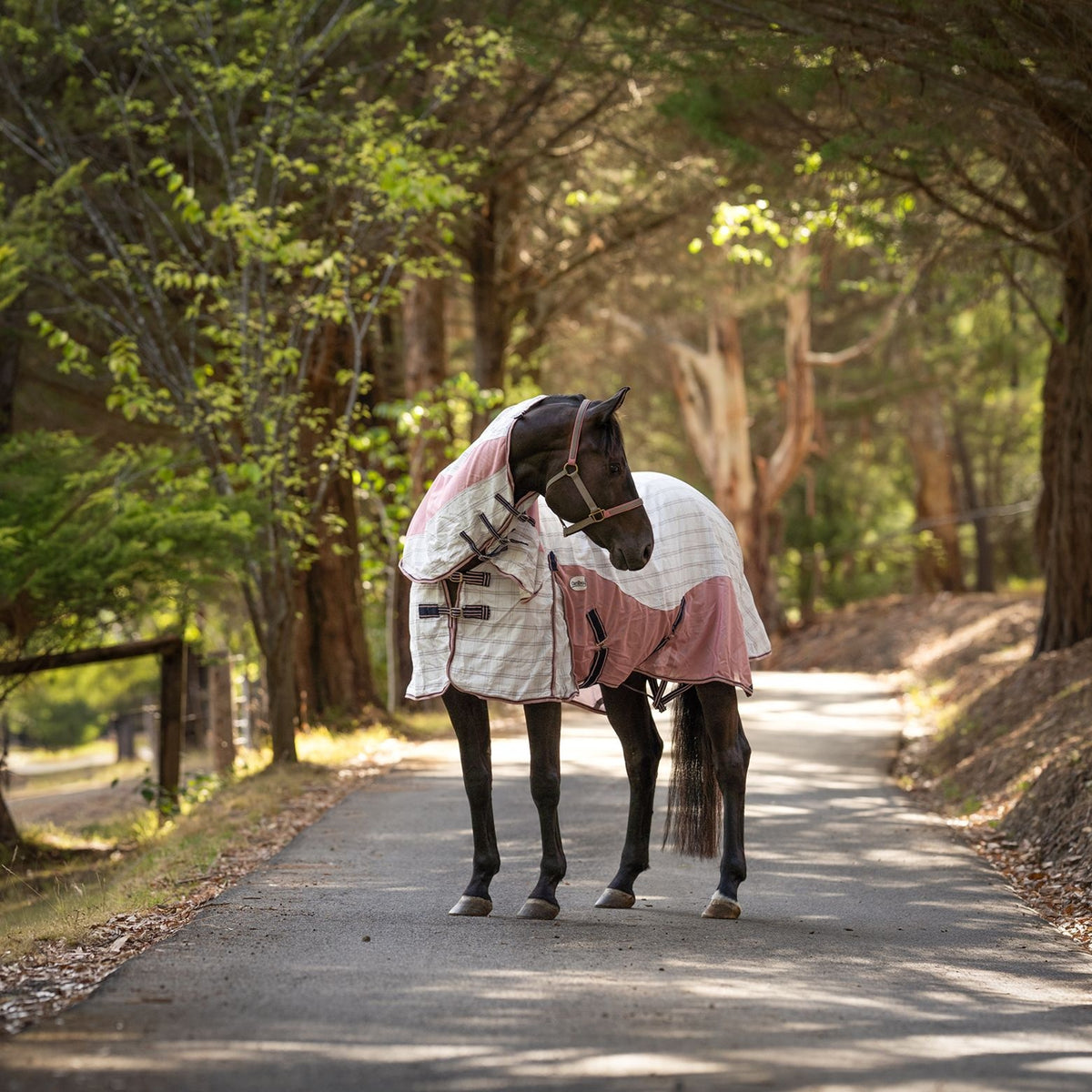 Caribu Atla Hybrid Combo Horse Rug Midnight Blush