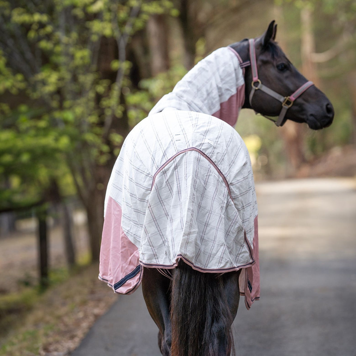 Caribu Atla Hybrid Combo Horse Rug Midnight Blush