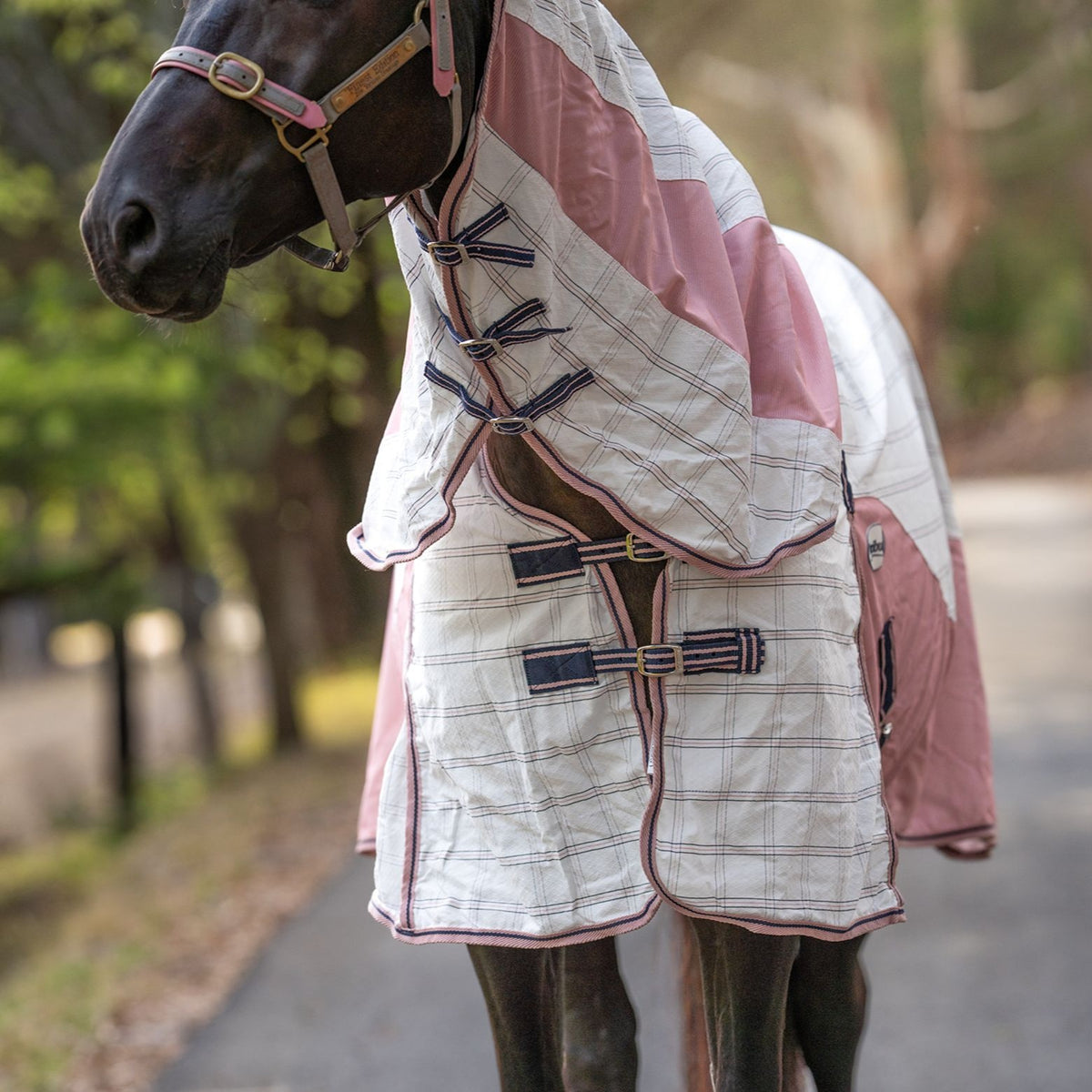 Caribu Atla Hybrid Combo Horse Rug Midnight Blush
