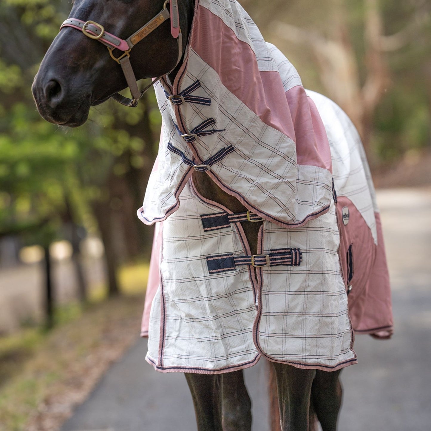 Caribu Atla Hybrid Combo Horse Rug Midnight Blush