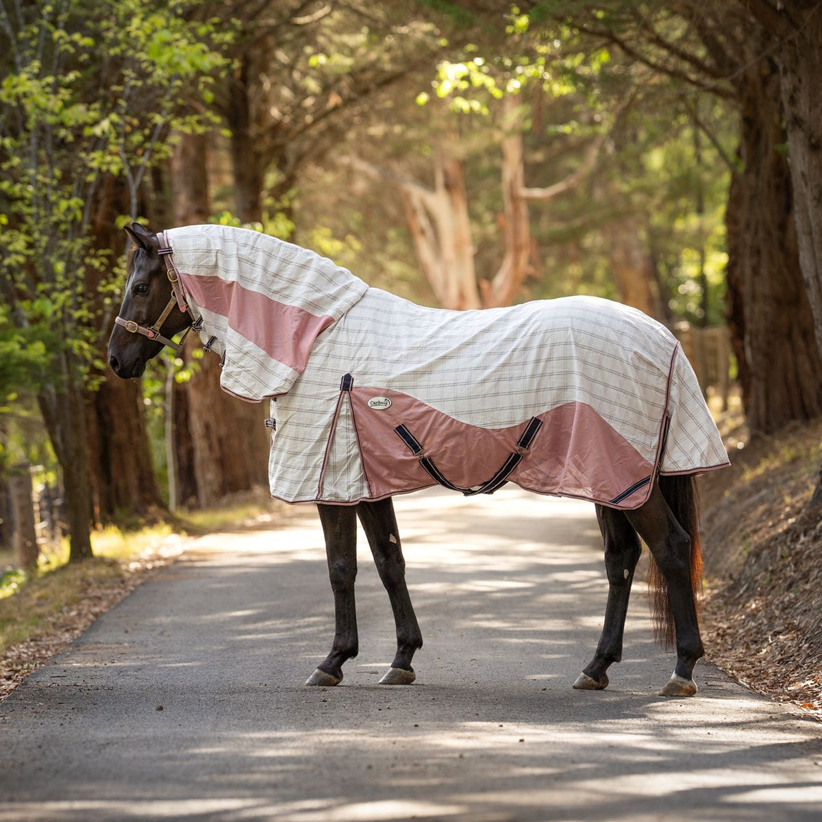 Caribu Atla Hybrid Combo Horse Rug Midnight Blush