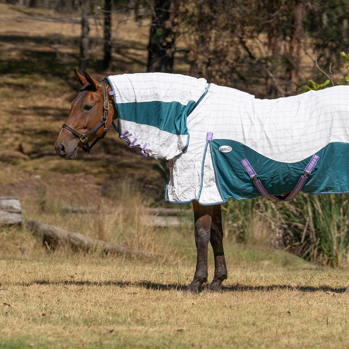 Caribu Atla Hybrid Combo Horse Rug Lavender Meadow