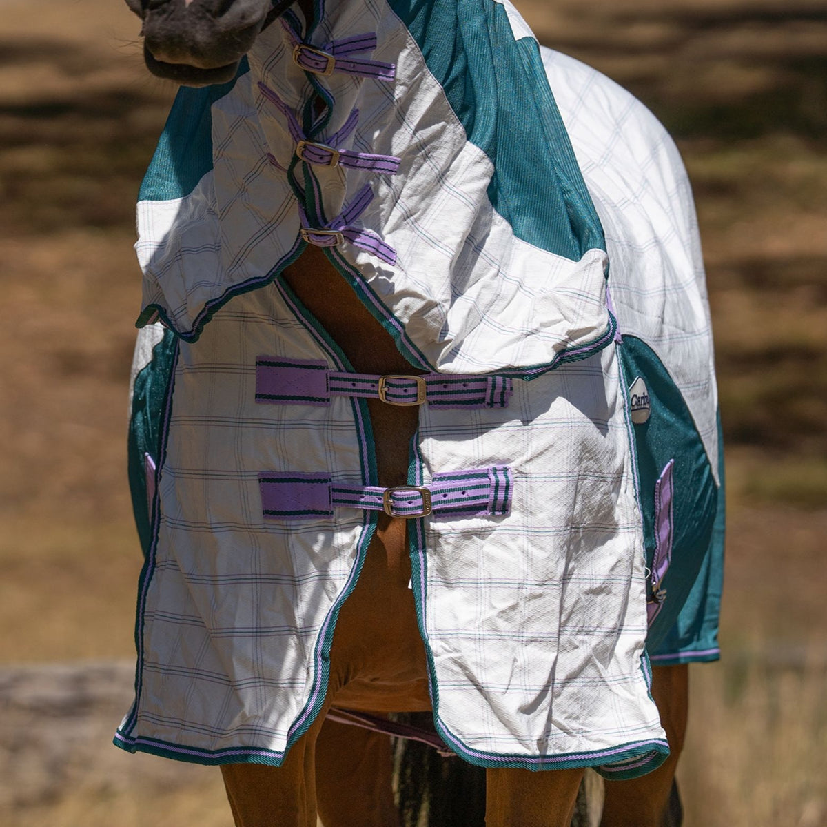Caribu Atla Hybrid Combo Horse Rug Lavender Meadow