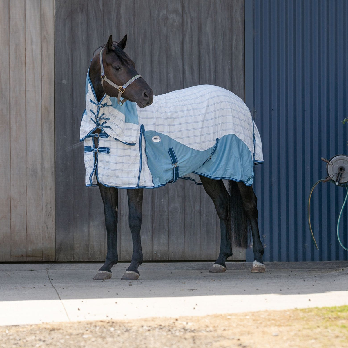 Caribu Atla Hybrid Combo Horse Rug Sapphire Sky