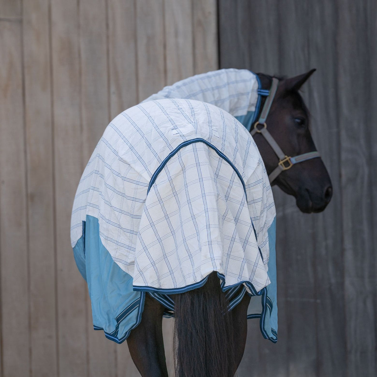 Caribu Atla Hybrid Combo Horse Rug Sapphire Sky