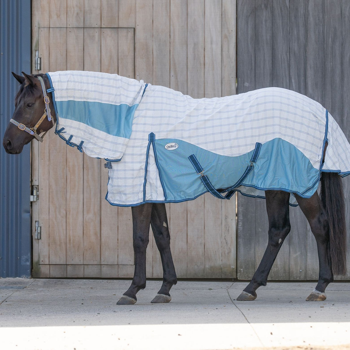 Caribu Atla Hybrid Combo Horse Rug Sapphire Sky