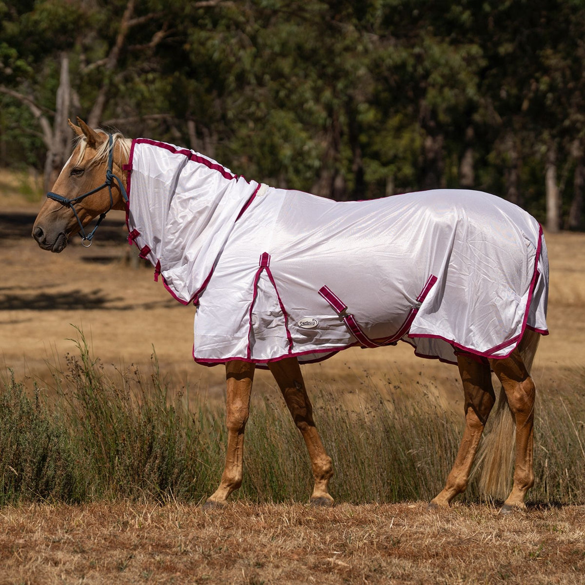 Caribu EuroLite Mesh Combo Horse Rug Berry Blush